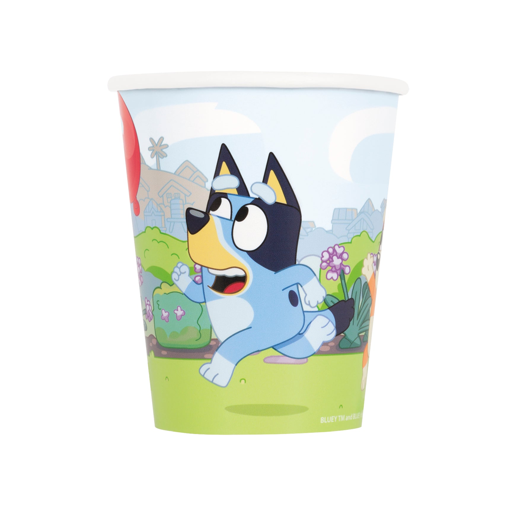 Bluey Party 8 Hot/Cold Cups – The Party Store - Toyandparty.com